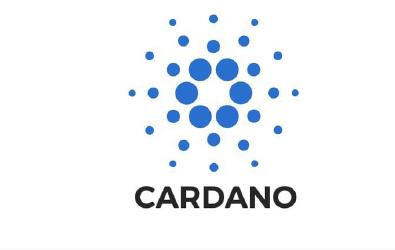 Cardano Network Node image