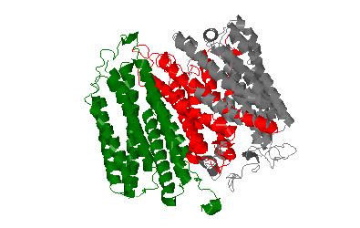 Jellyfish Protein Research image